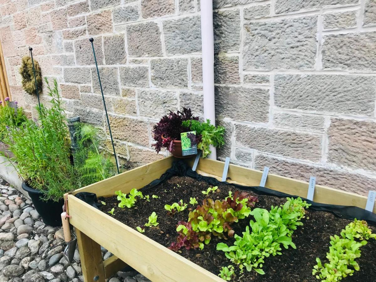Brylach Steading Aberlour Bagian luar foto